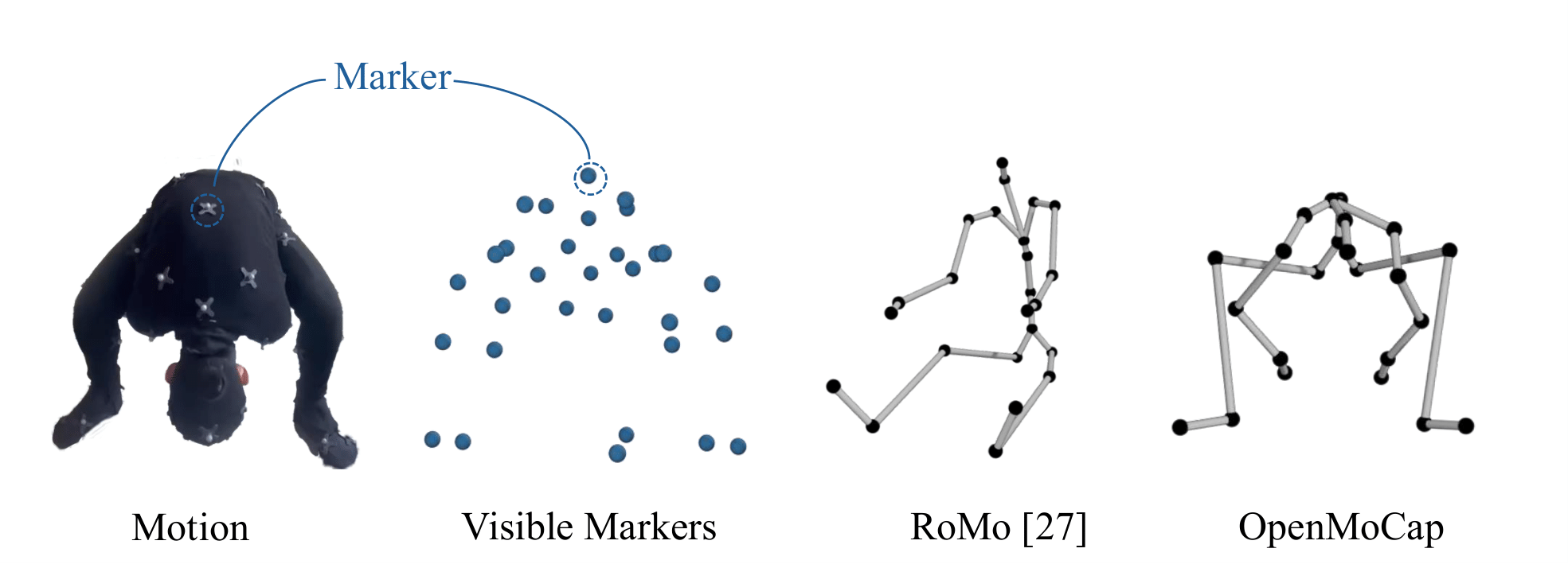 Comparison under occlusion (RoMo vs. OpenMoCap)