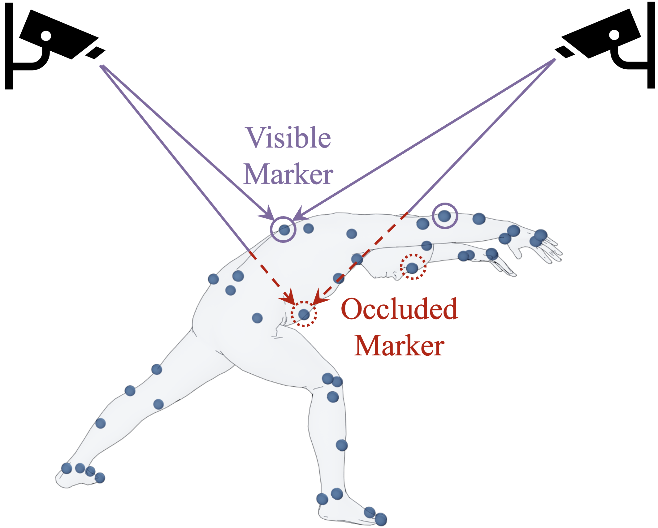 Ray-traced simulation of visible and occluded markers